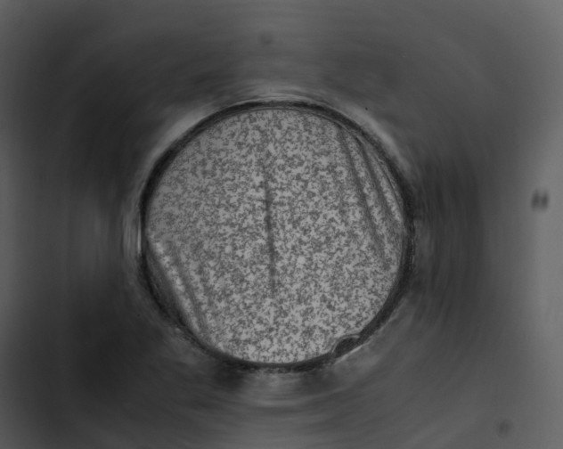 X0000102861269200809081258