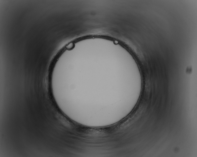 X0000102861270200809081258