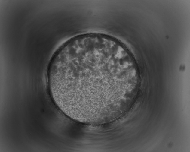 X0000102861271200809081258