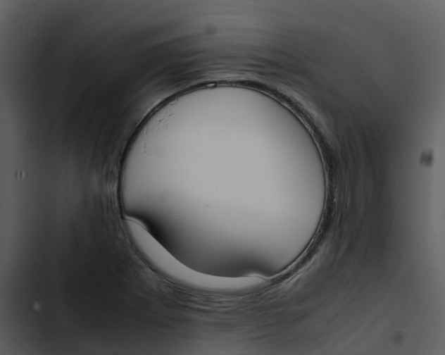 X0000102861273200809081258