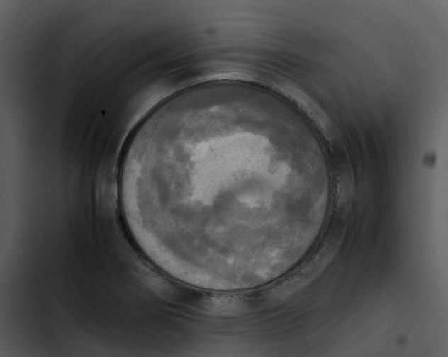 X0000102861274200809081258