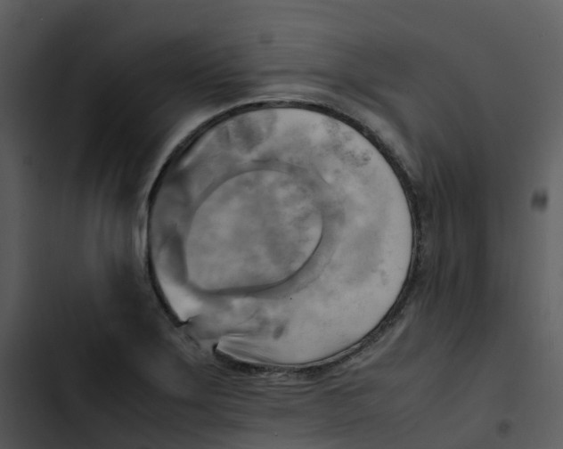 X0000102861275200809081258