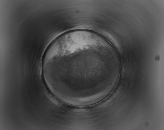 X0000102861276200809081258