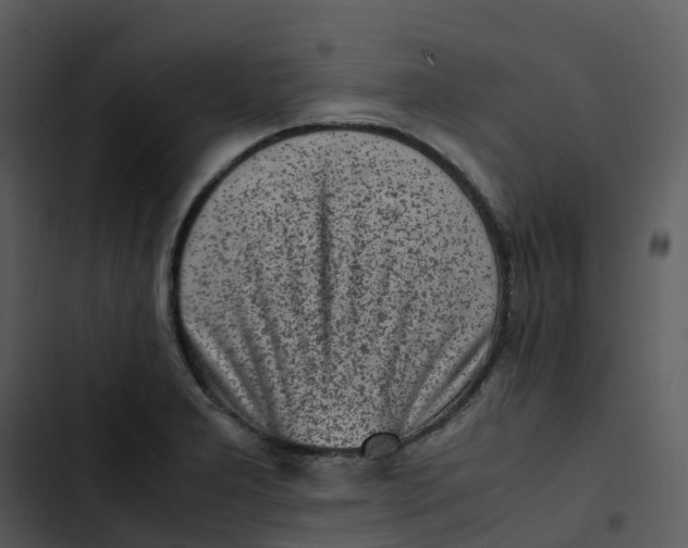 X0000102861277200809081258