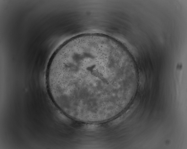 X0000102861278200809081258