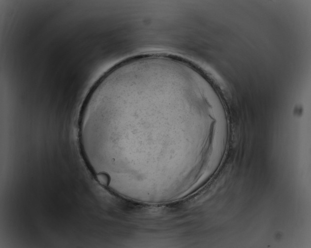 X0000102861279200809081258