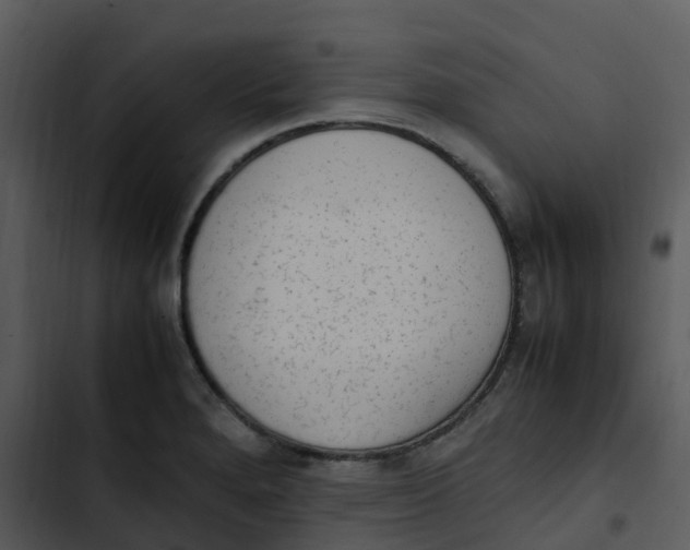 X0000102861280200809081258