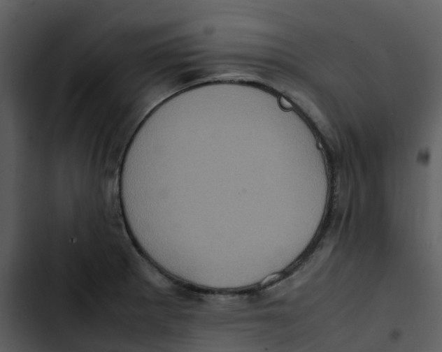 X0000102861281200809081258