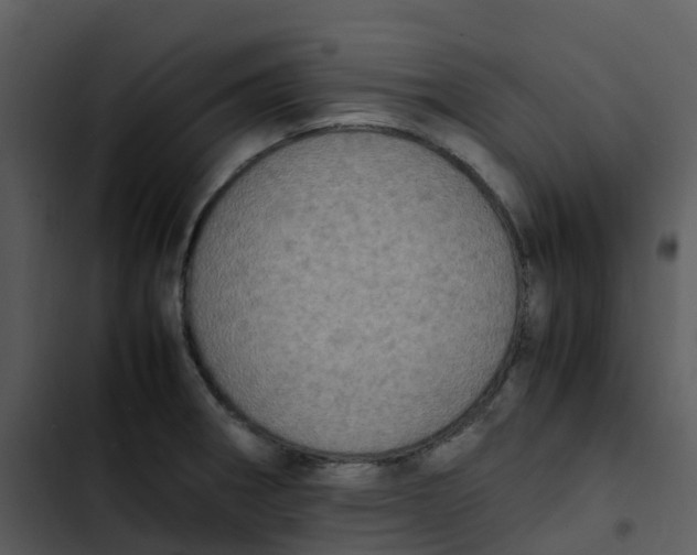 X0000102861282200809081258