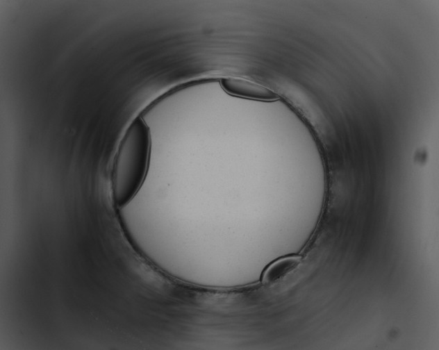 X0000102861284200809081258