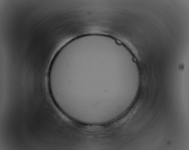 X0000102861285200809081258