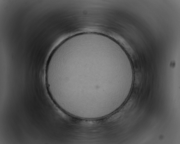 X0000102861286200809081258