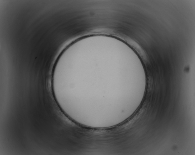 X0000102861288200809081258