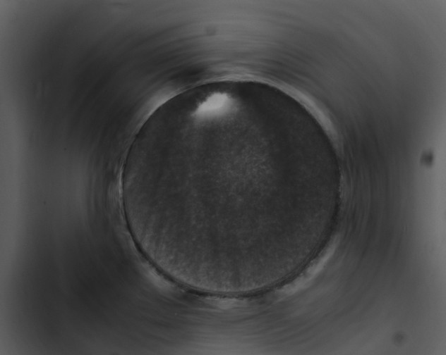 X0000102861289200809081258