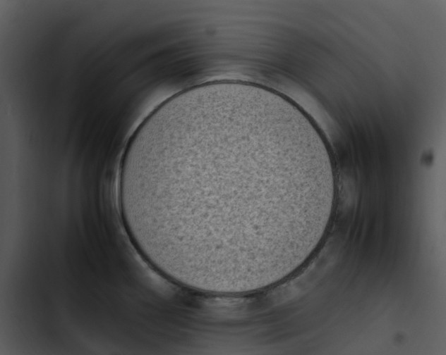 X0000102861290200809081258