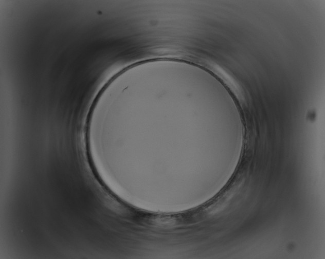 X0000102861291200809081258