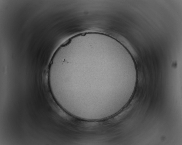 X0000102861292200809081258