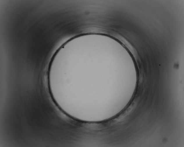 X0000102861293200809081258