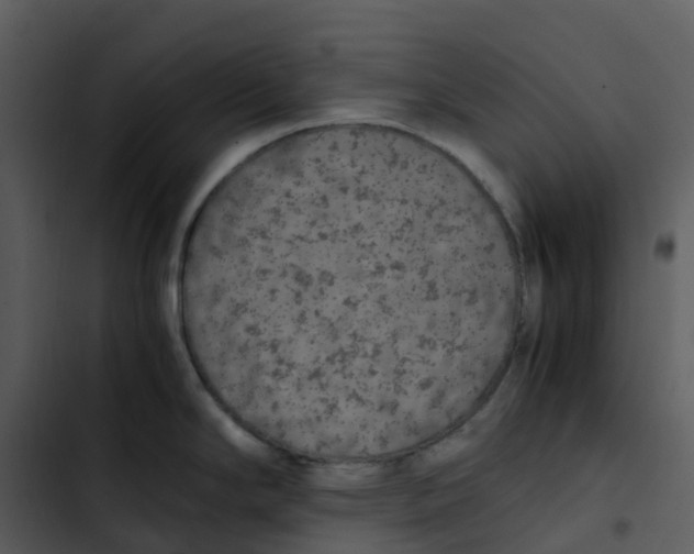 X0000102861294200809081258