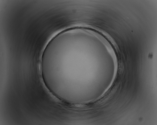 X0000102861295200809081258