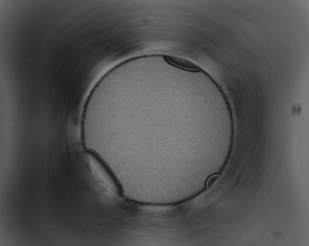 X0000102861296200809081258