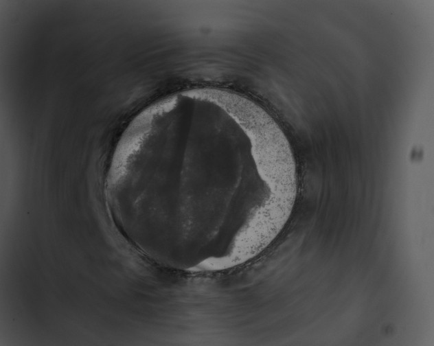 X0000102861297200809081257