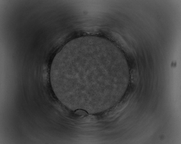 X0000102861298200809081257