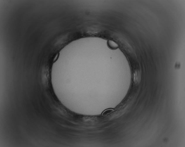 X0000102861299200809081257