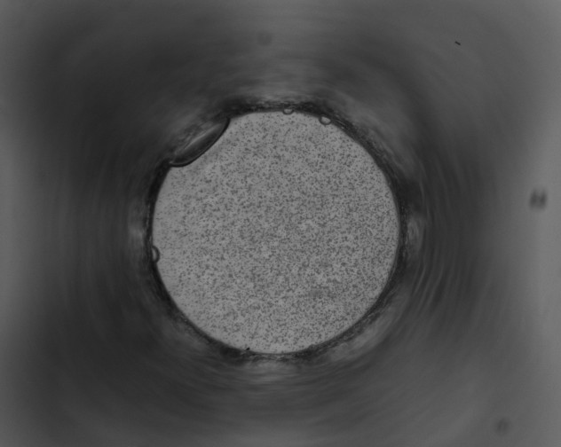 X0000102861300200809081257