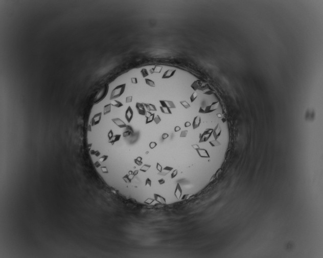 X0000102861301200809081257