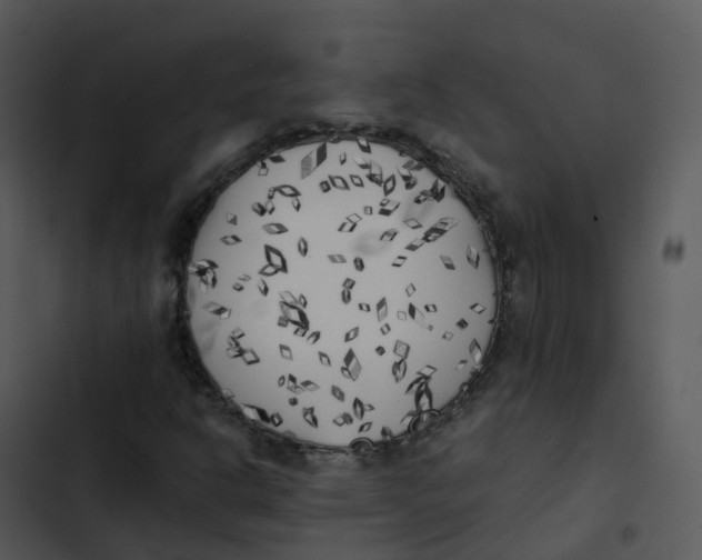 X0000102861302200809081257