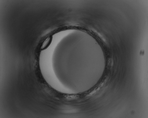 X0000102861303200809081257