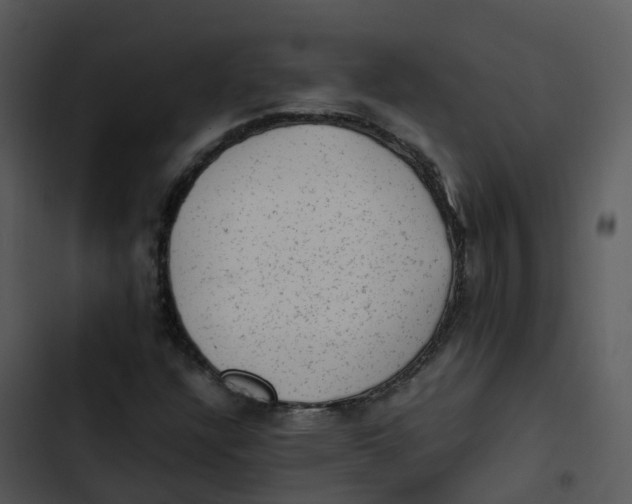 X0000102861304200809081257