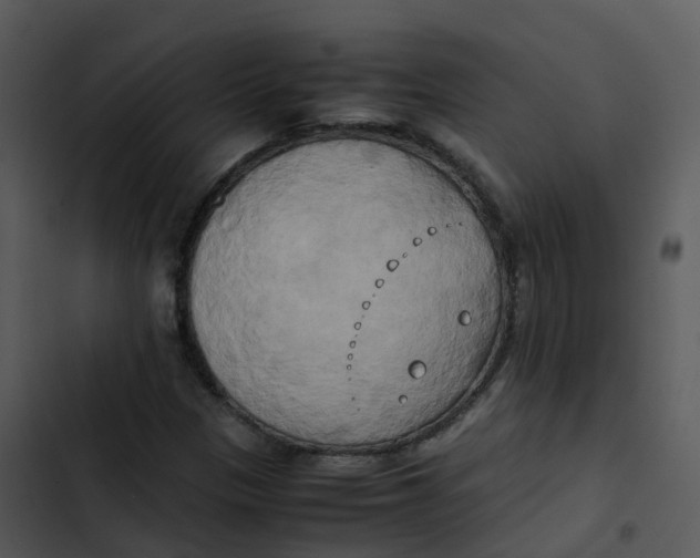 X0000102861305200809081257