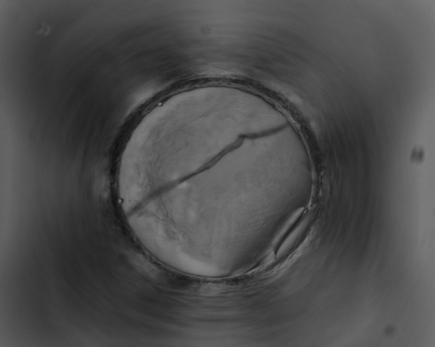 X0000102861306200809081257