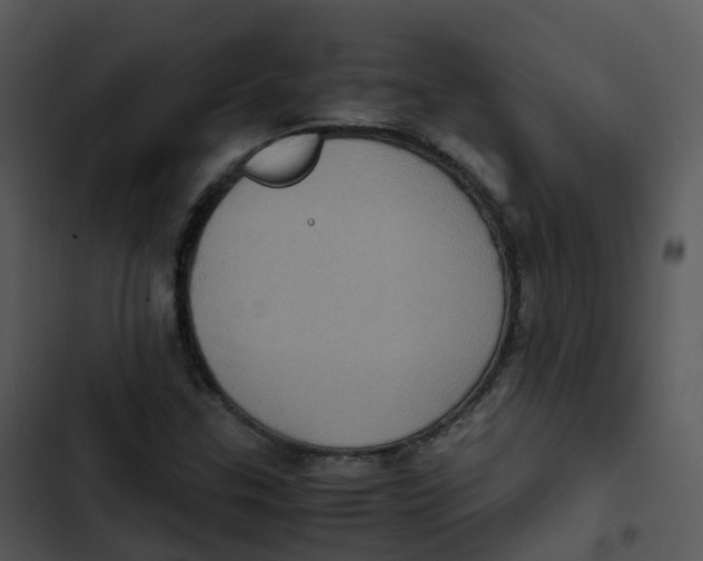 X0000102861307200809081257