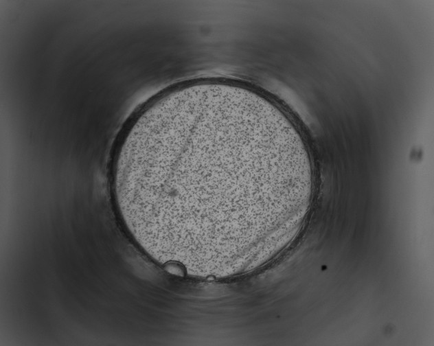 X0000102861308200809081257