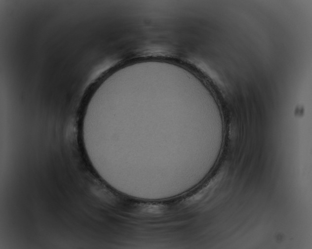 X0000102861309200809081257