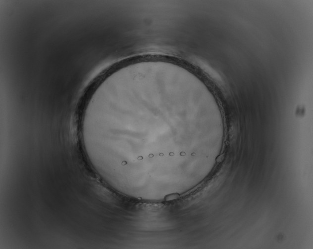 X0000102861310200809081257