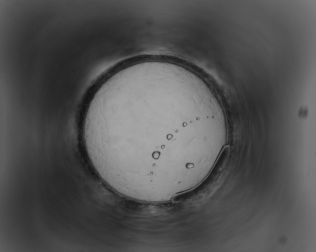 X0000102861311200809081257