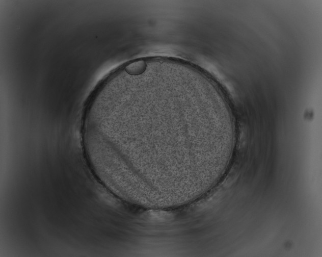 X0000102861312200809081257