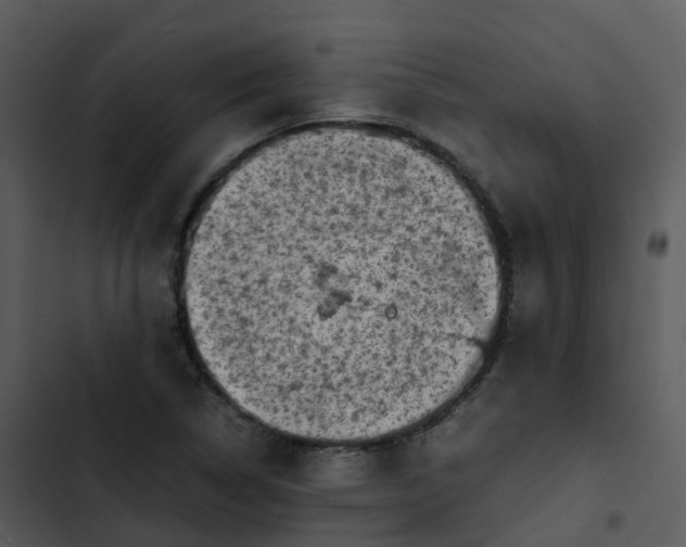 X0000102861314200809081257