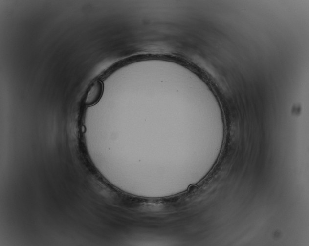 X0000102861315200809081257