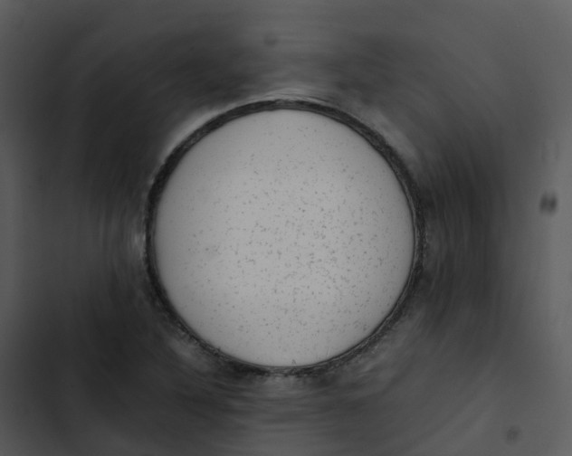 X0000102861316200809081257