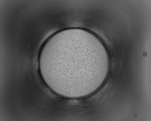 X0000102861317200809081257