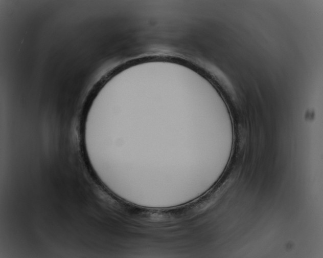 X0000102861318200809081257