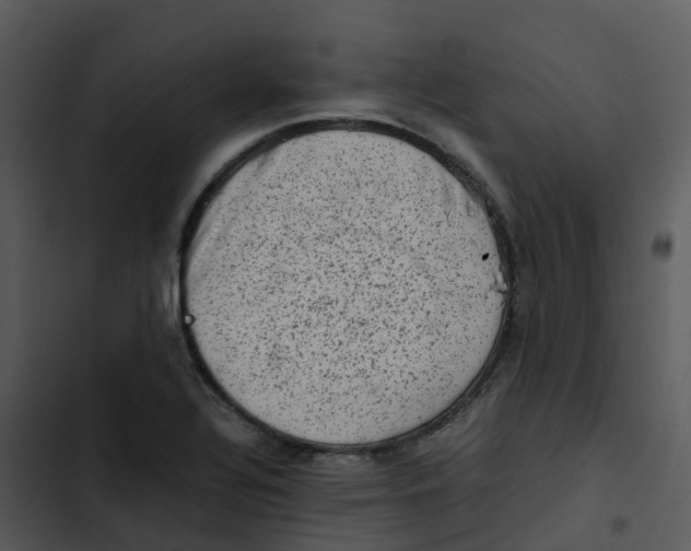 X0000102861320200809081257