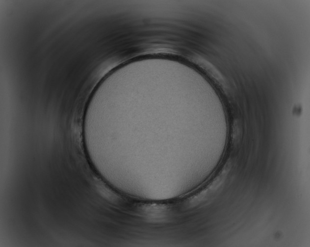 X0000102861321200809081257