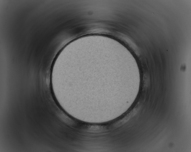 X0000102861322200809081257