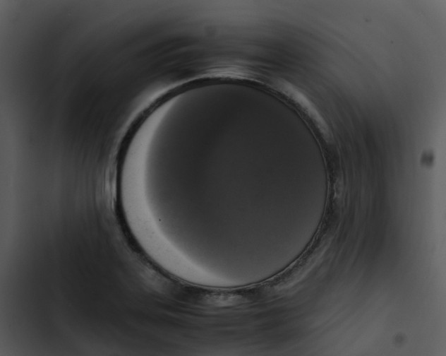 X0000102861323200809081257